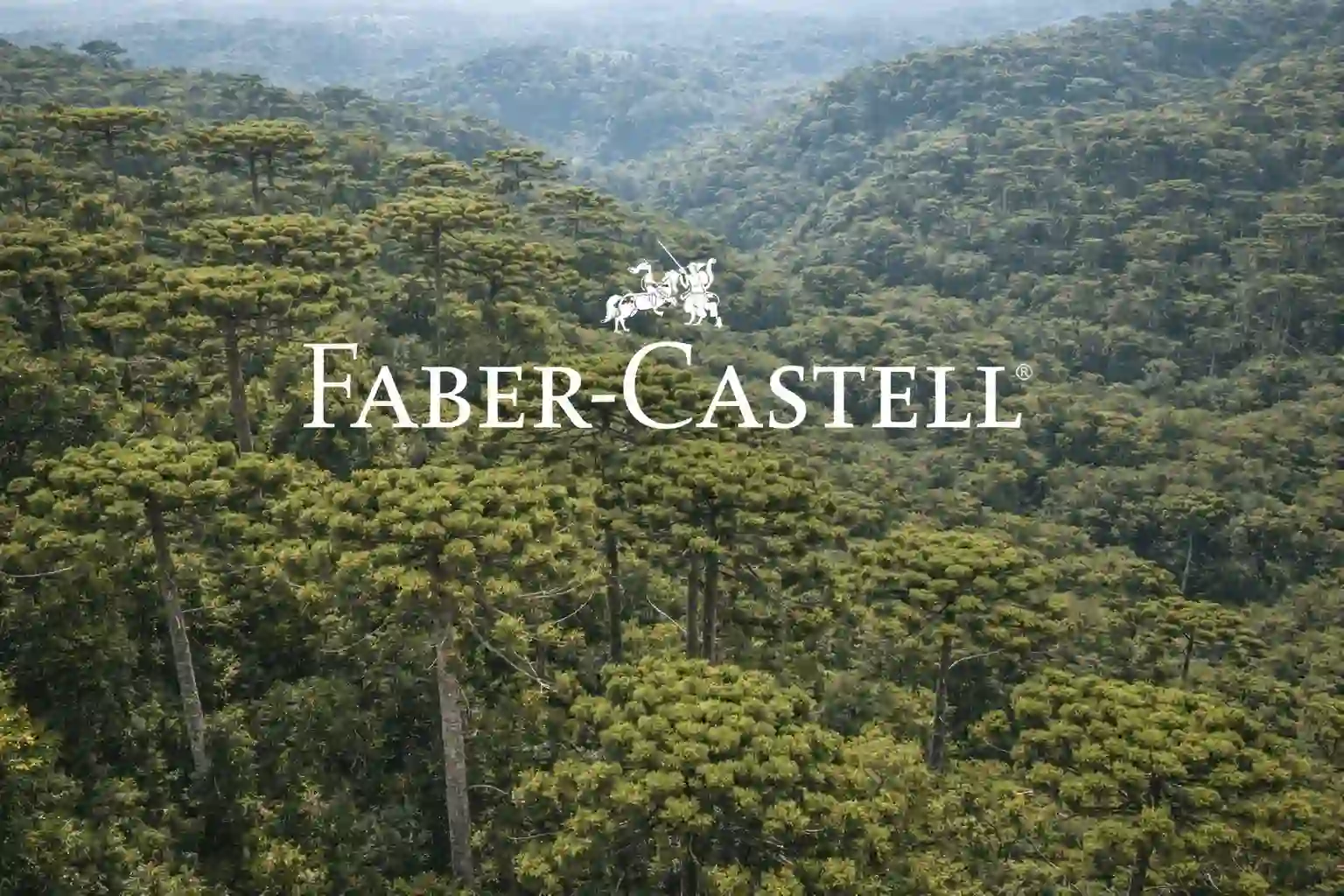 Faber-Castell Pine Forest — Brazil