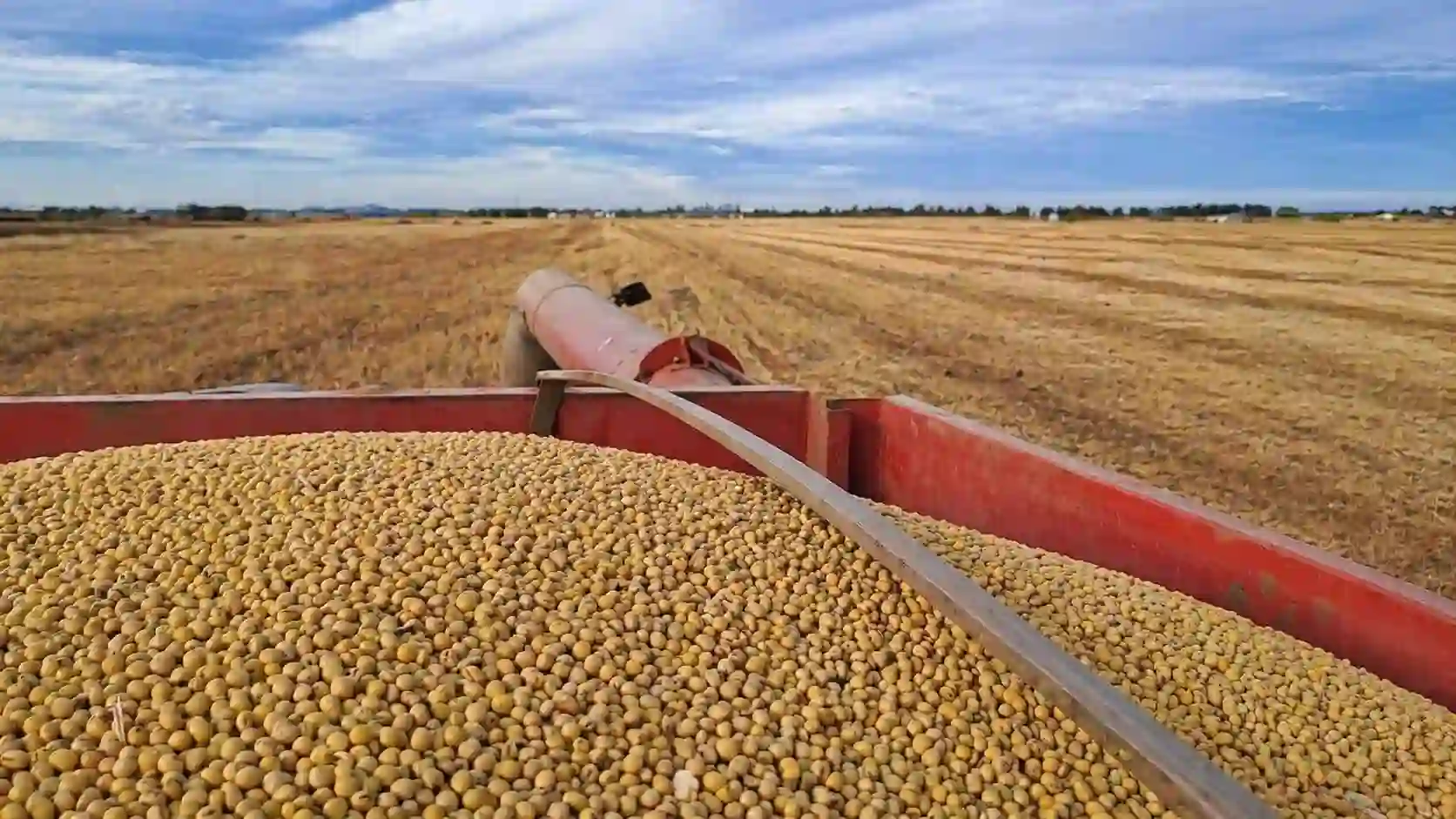 Grain silos at a South American port, with a cargo vessel loading in the background