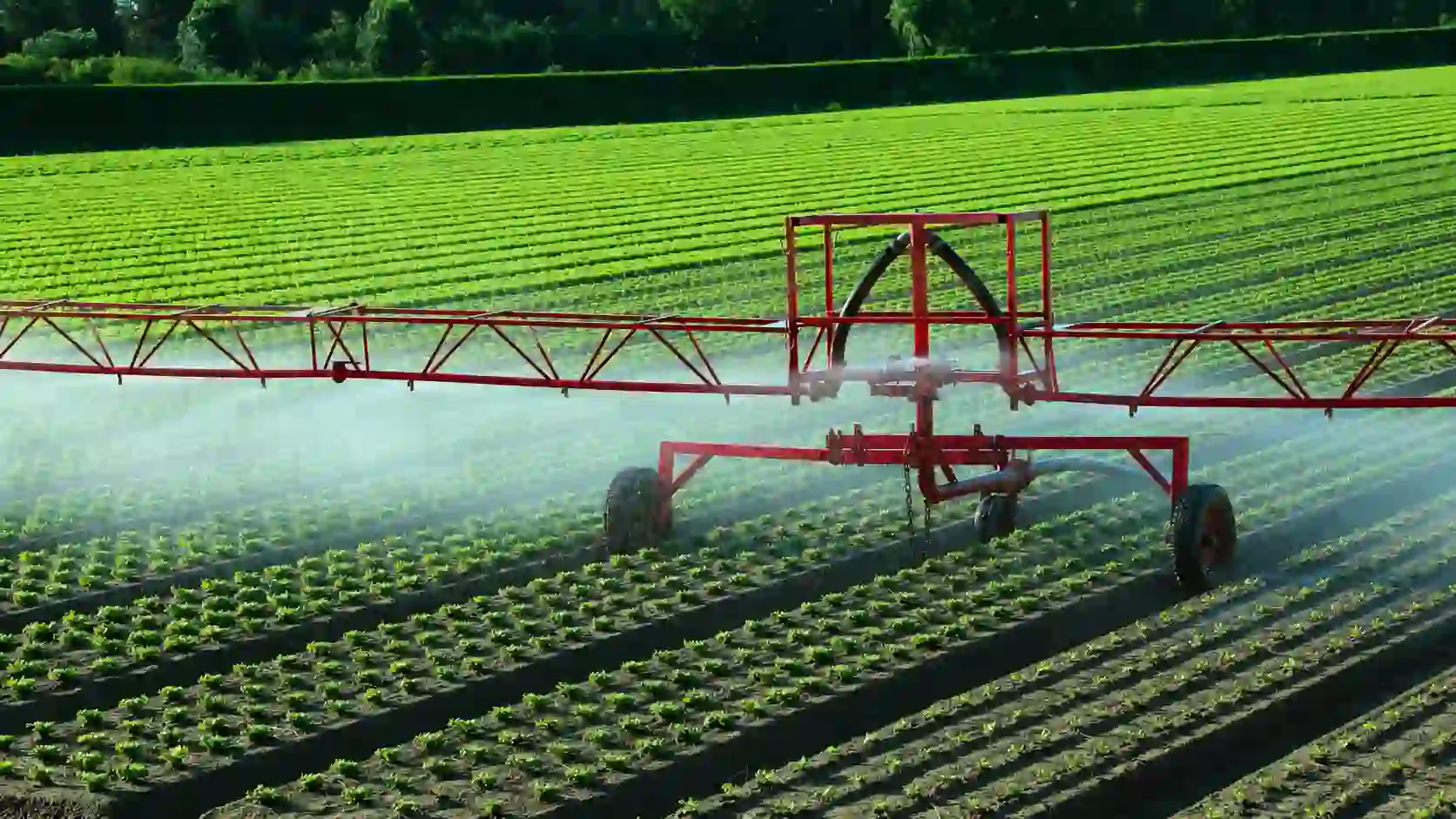 Agriculture and food systems in Mercosur and South America with soy fields, grains, beef, food processing, logistics and export corridors