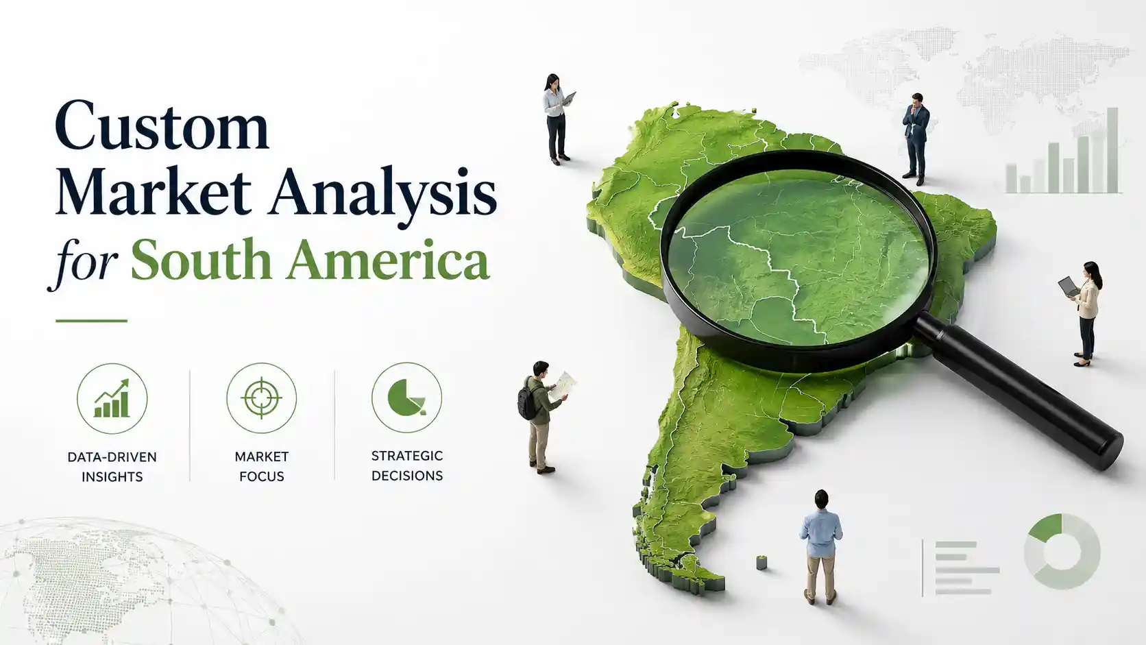 Custom Market Analysis for South America by Econosur