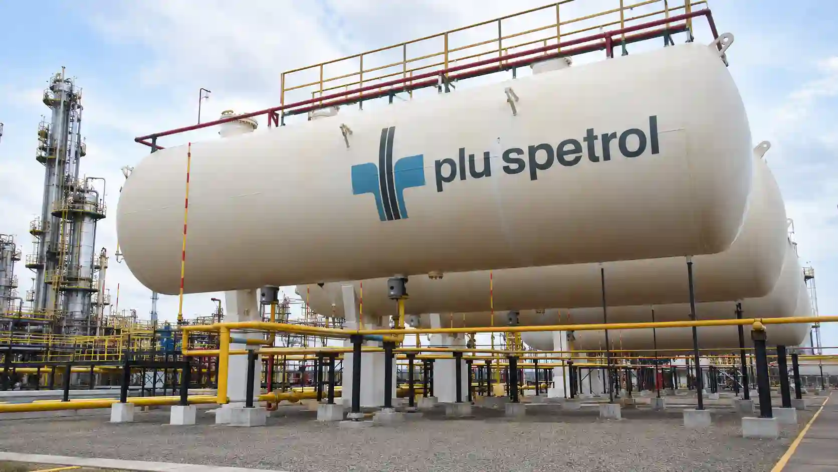Pluspetrol company insight on Argentina, Vaca Muerta, Bajo del Choique-La Invernada, RIGI, wells, processing plants and supplier demand