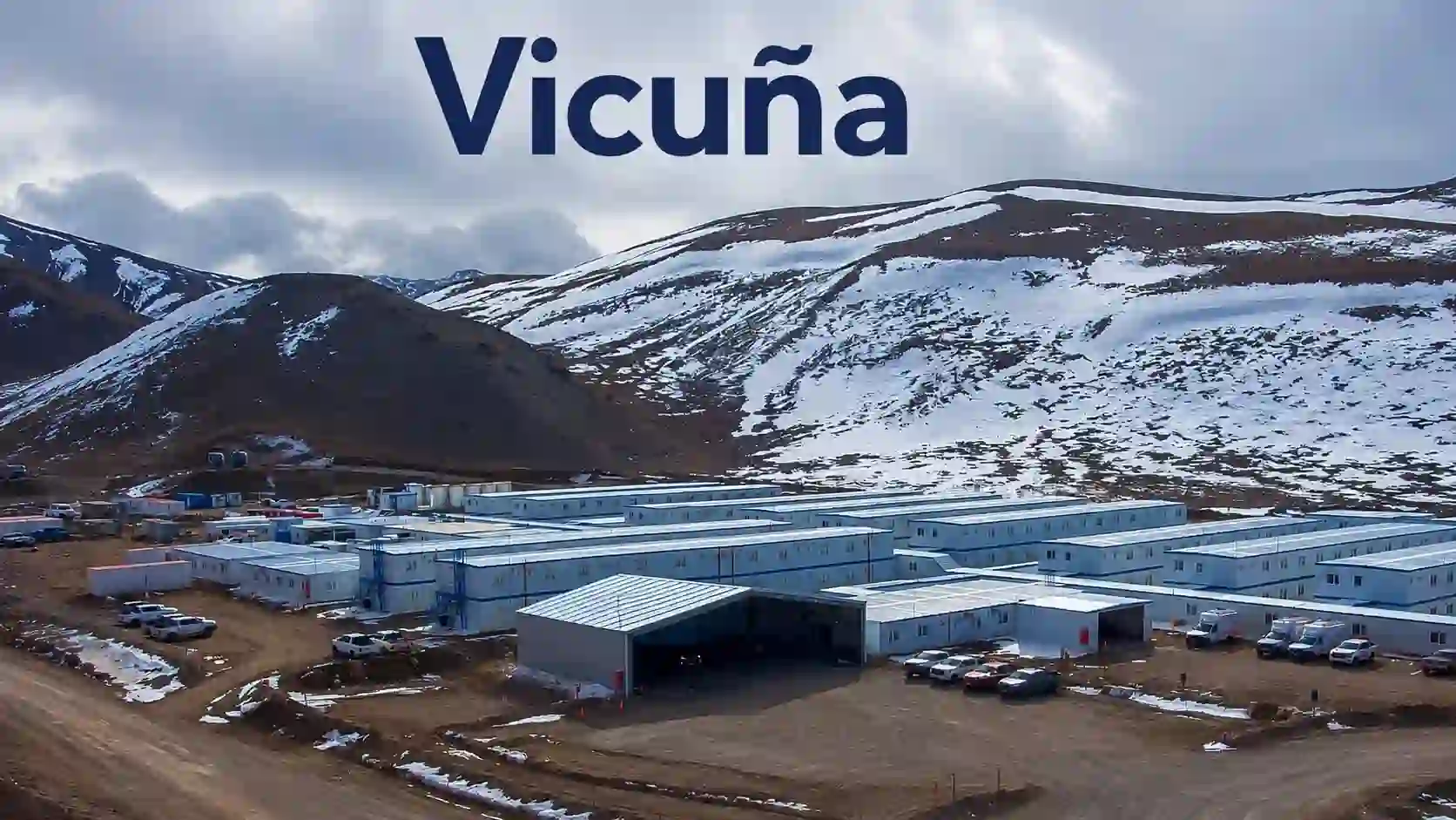 Vicuña Corp company insight covering BHP, Lundin Mining, Josemaría, Filo del Sol and supplier access in Argentina