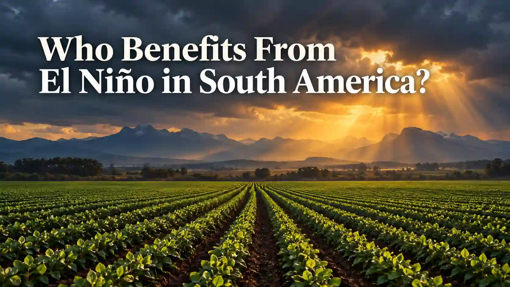 Who benefits from El Niño in South America — agriculture, water and fisheries