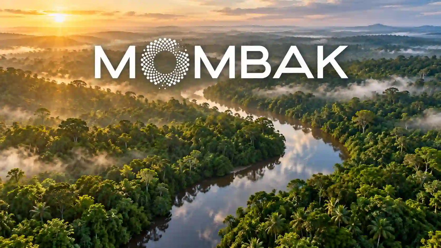 Brazilian Amazon rainforest illustrating Mombak's reforestation and carbon-removal financing model